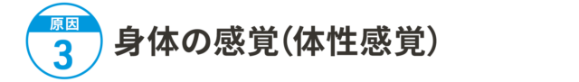 原因3：身体の感覚（体性感覚）